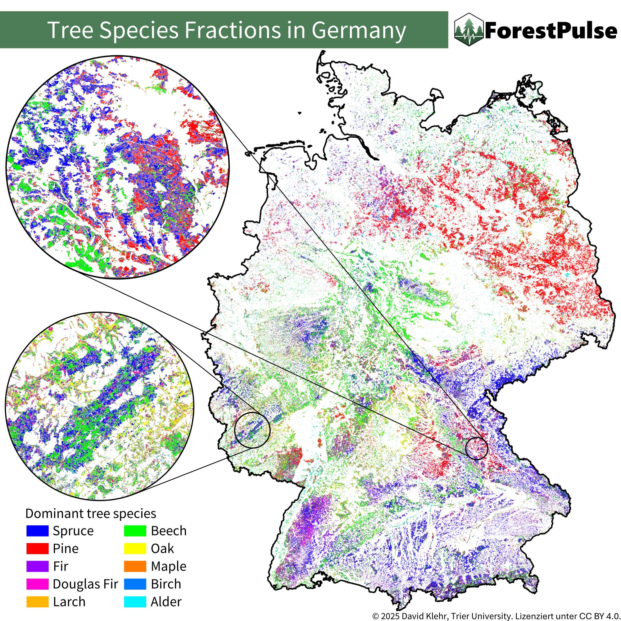 Baumartenkarte Die Verteilung unterschiedlicher Baumarten ist in verschiedenen Farben auf einer Deutschlandkarte dargestellt.
