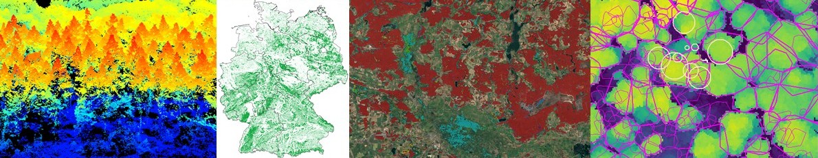 Collage aus 4 Bildern - eine LiDAR-Punktewolke, Deutschlandkarte, Satellitenbild und Baumkronen Segmentierung